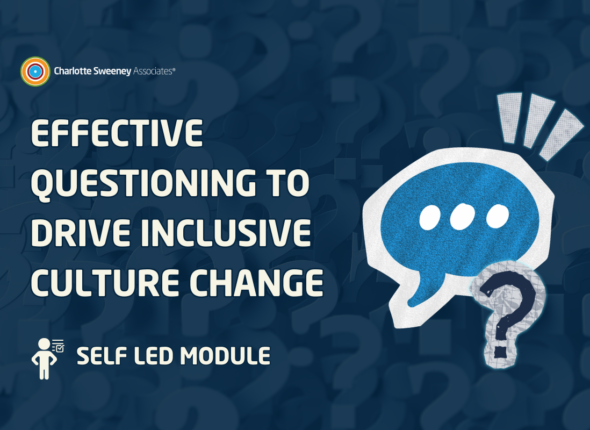 Effcetive questioning cover